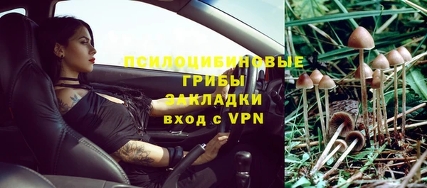 эйфоретик Осинники