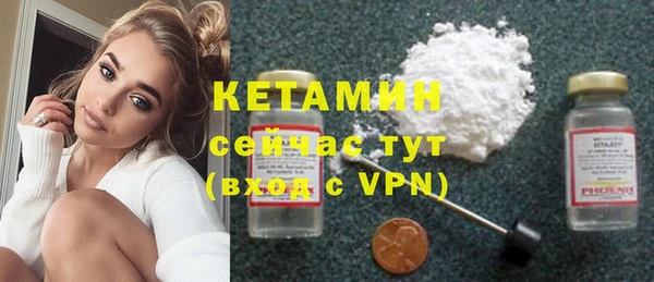 крисы Няндома