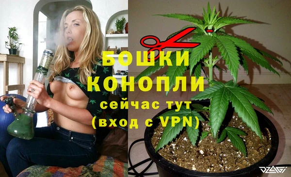 каннабис Осташков
