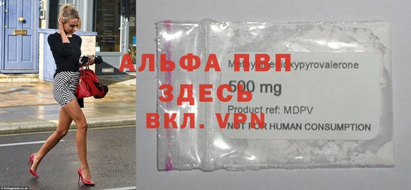 эйфоретик Осинники