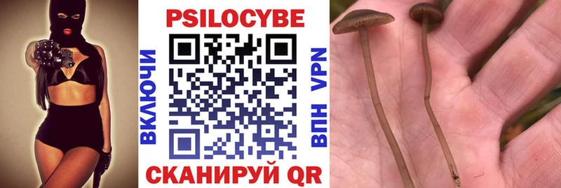 ОМГ ОМГ tor  Краснотурьинск  Галлюциногенные грибы ЛСД  как найти наркотики 